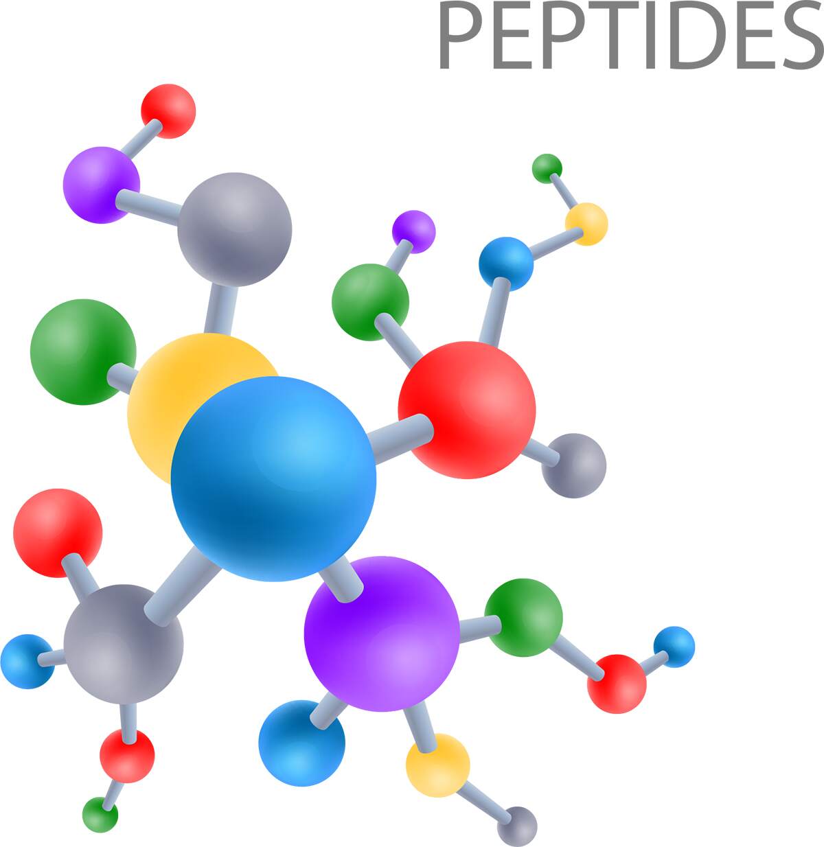Zoomer Peptides
