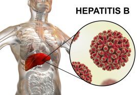Hepatitis B Surface Antigen - HBsAg Screen