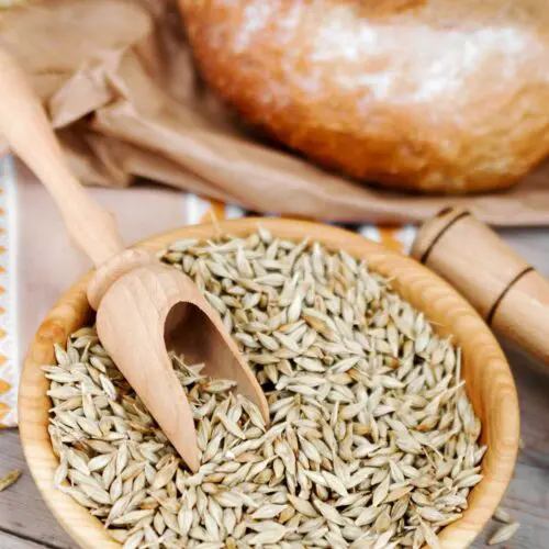 Grain Zoomer Food Sensitivity Test
