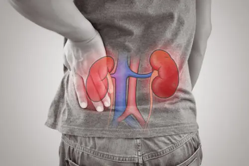 eGFR, Glomerular Filtration Rate