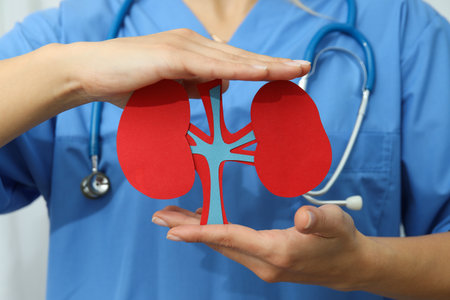 Kidney (Renal) Panel Basic